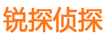 点军市私家侦探